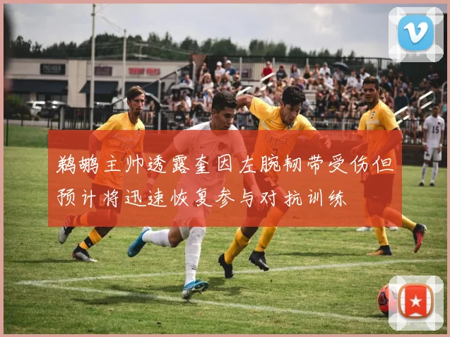鹈鹕主帅透露奎因左腕韧带受伤但预计将迅速恢复参与对抗训练